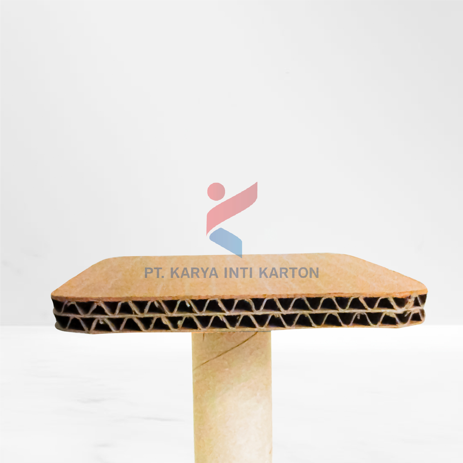 PARTISI DAN LAYER - KARDUS - KARTON BOX